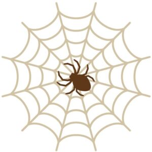 蜘蛛が多い家とスピリチュアルな意味