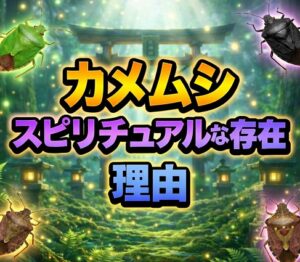 カメムシがスピリチュアルな存在である理由