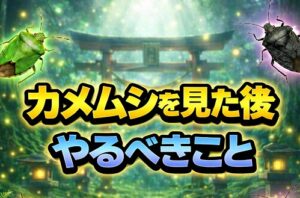 カメムシを見た後にやるべきこと