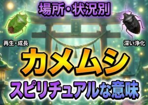 場所・状況別カメムシのスピリチュアル意味
